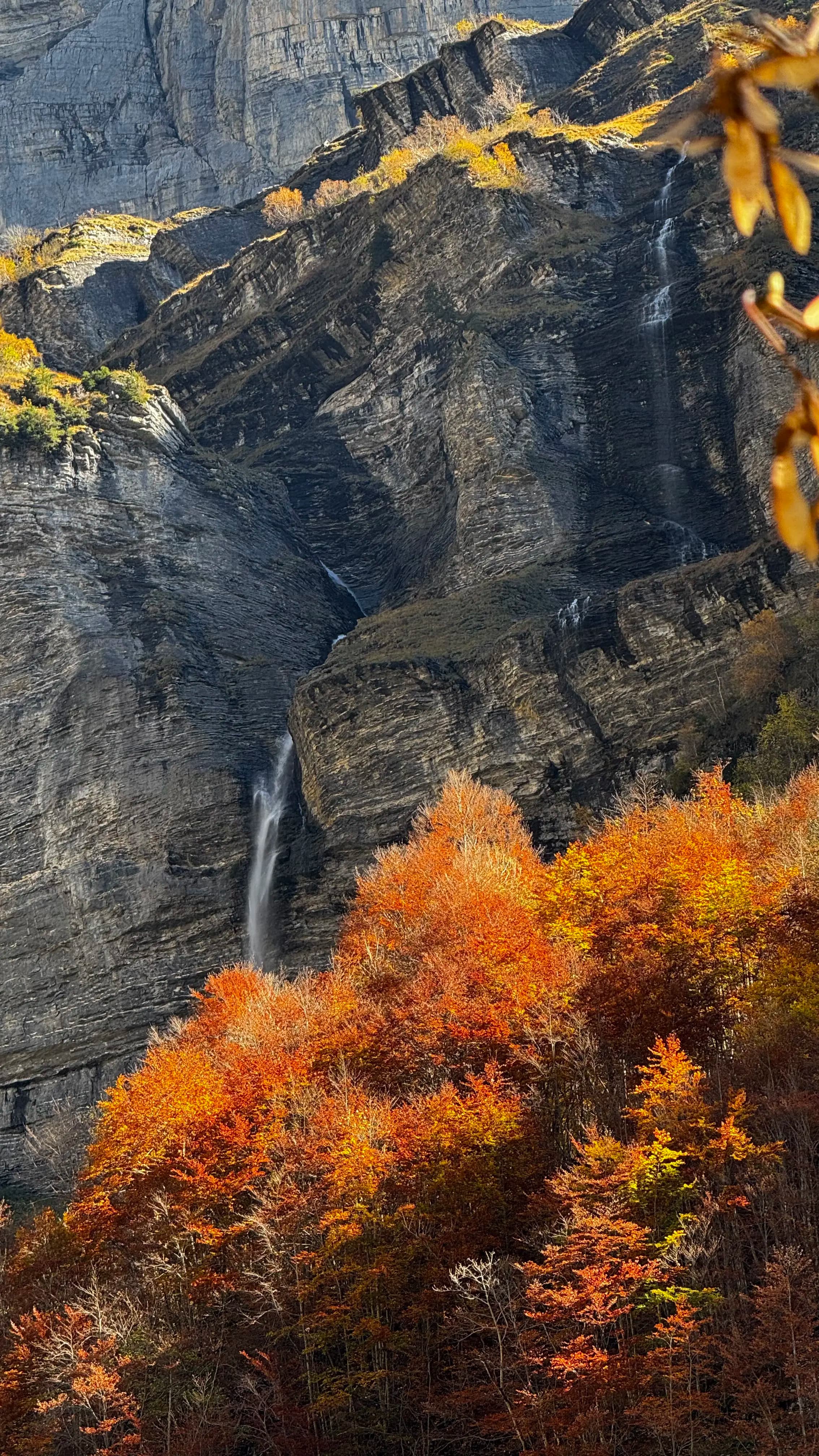 Montagnes Rocheuses 2